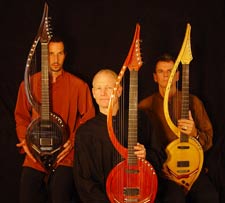 Electric Harp Guitar Group